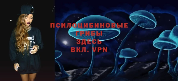 spice Алексеевка