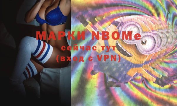 мет Алексин