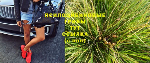 spice Алексеевка